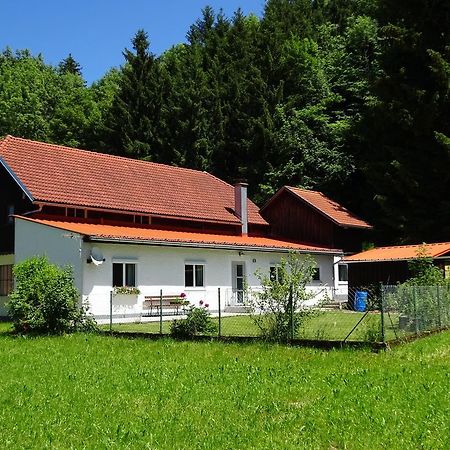 פינסדורף Haus Im Gruenen - Gmundennaehe מראה חיצוני תמונה