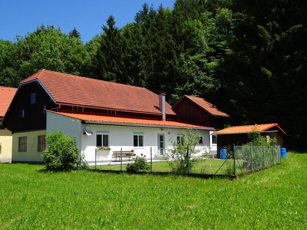 פינסדורף Haus Im Gruenen - Gmundennaehe מראה חיצוני תמונה