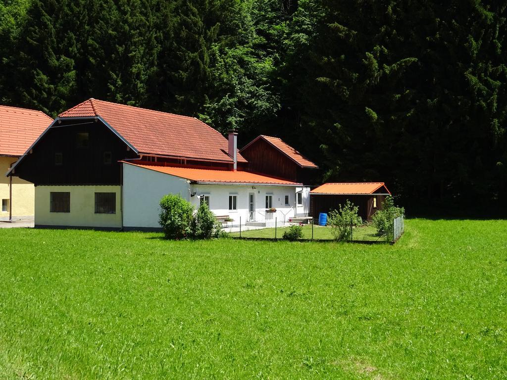 פינסדורף Haus Im Gruenen - Gmundennaehe מראה חיצוני תמונה